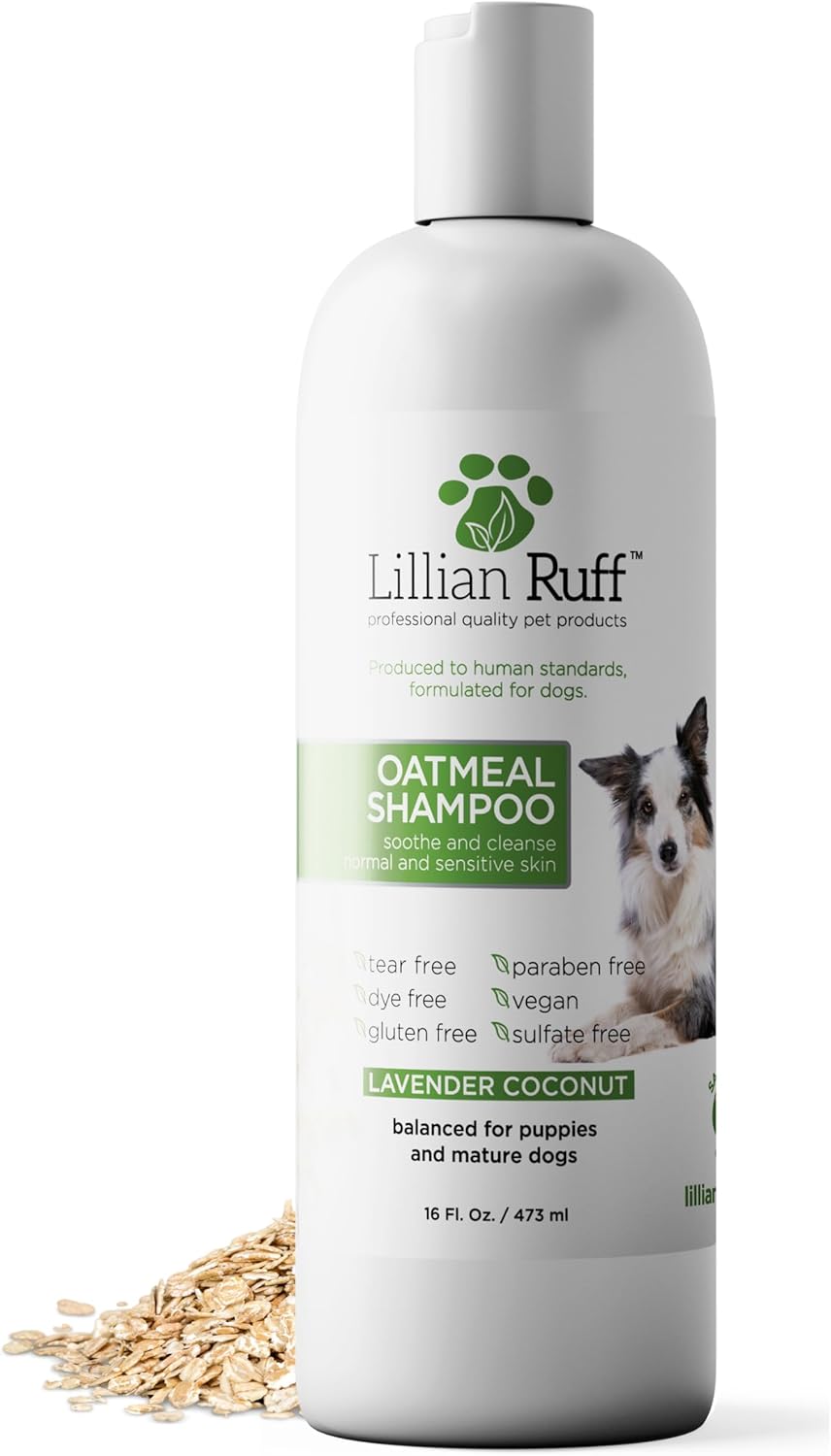PRO Formula Deodorizing Oatmeal Dog Shampoo - Calms Itching & Allergies, Ultra-Nourishing Dry Skin Relief - Oatmeal, Aloe, Coconut Oil, Lavender & Provitamin B5 - Made in USA 16oz+Brush