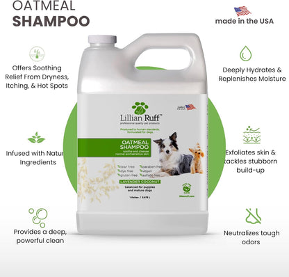 PRO Formula Deodorizing Oatmeal Dog Shampoo - Calms Itching & Allergies, Ultra-Nourishing Dry Skin Relief - Oatmeal, Aloe, Coconut Oil, Lavender & Provitamin B5 - Made in USA 16oz+Brush