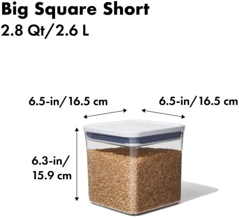 Good Grips POP Container, Airtight Food Storage for Pantry, 2.8 Qt