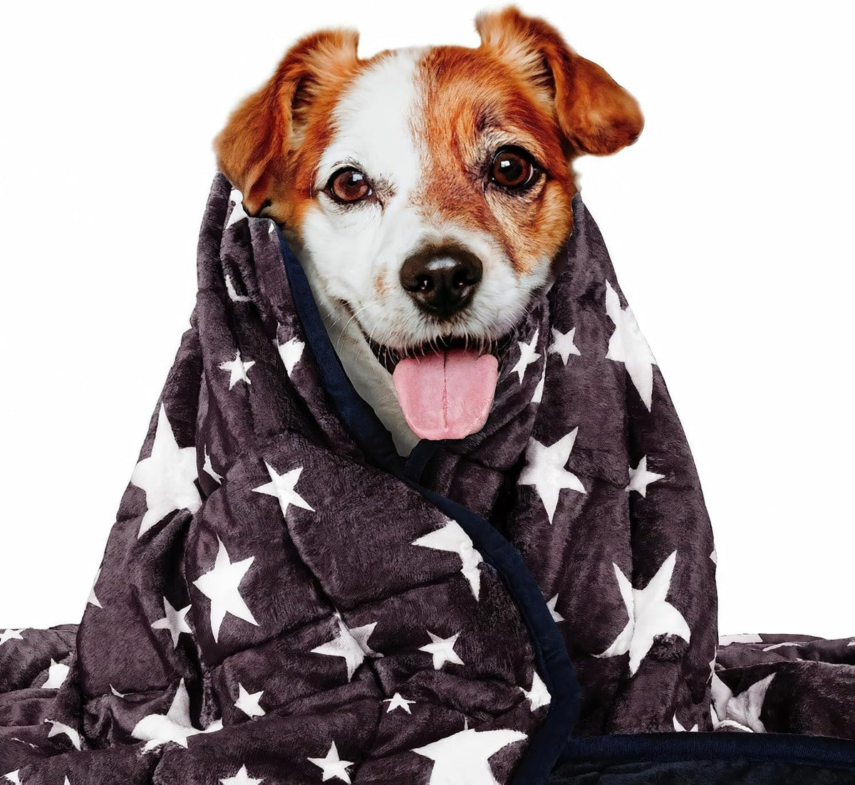 Weighted Blanket for Pets | Thunder Blanket for Dogs Anxiety | Premium Soft Minky | Relaxation & Calming & Anti Anxiety | Used in Car, Bed, Couch | Blue Grey Star, Washable Small (24"x32")