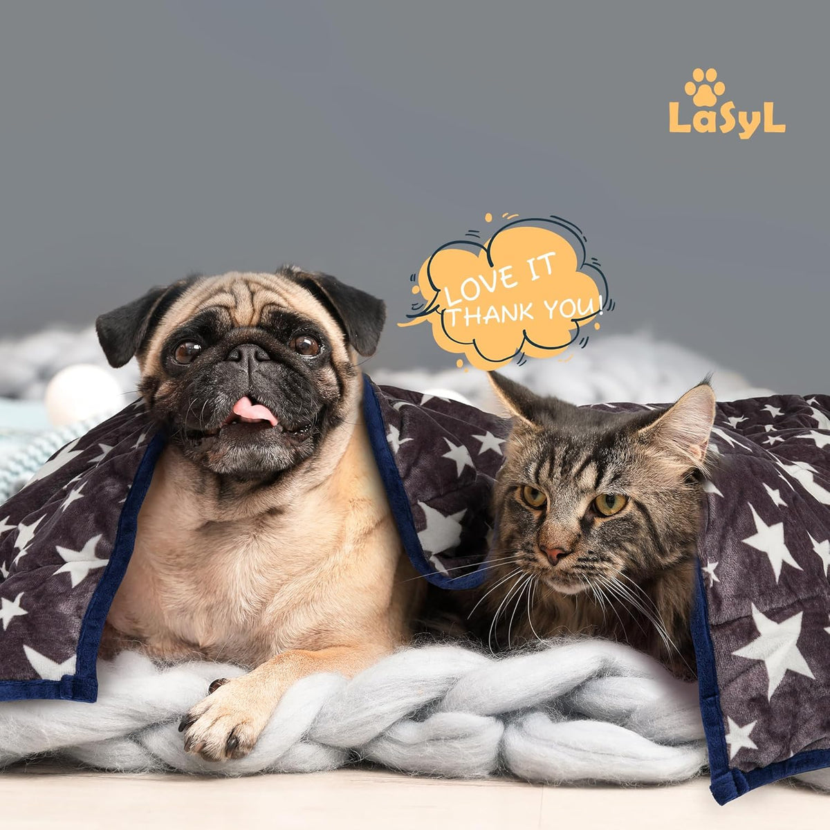 Weighted Blanket for Pets | Thunder Blanket for Dogs Anxiety | Premium Soft Minky | Relaxation & Calming & Anti Anxiety | Used in Car, Bed, Couch | Blue Grey Star, Washable Small (24"x32")