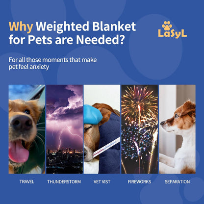 Weighted Blanket for Pets | Thunder Blanket for Dogs Anxiety | Premium Soft Minky | Relaxation & Calming & Anti Anxiety | Used in Car, Bed, Couch | Blue Grey Star, Washable Small (24"x32")