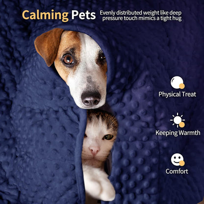 Weighted Blanket for Pets | Thunder Blanket for Dogs Anxiety | Premium Soft Minky | Relaxation & Calming & Anti Anxiety | Used in Car, Bed, Couch | Blue Grey Star, Washable Small (24"x32")