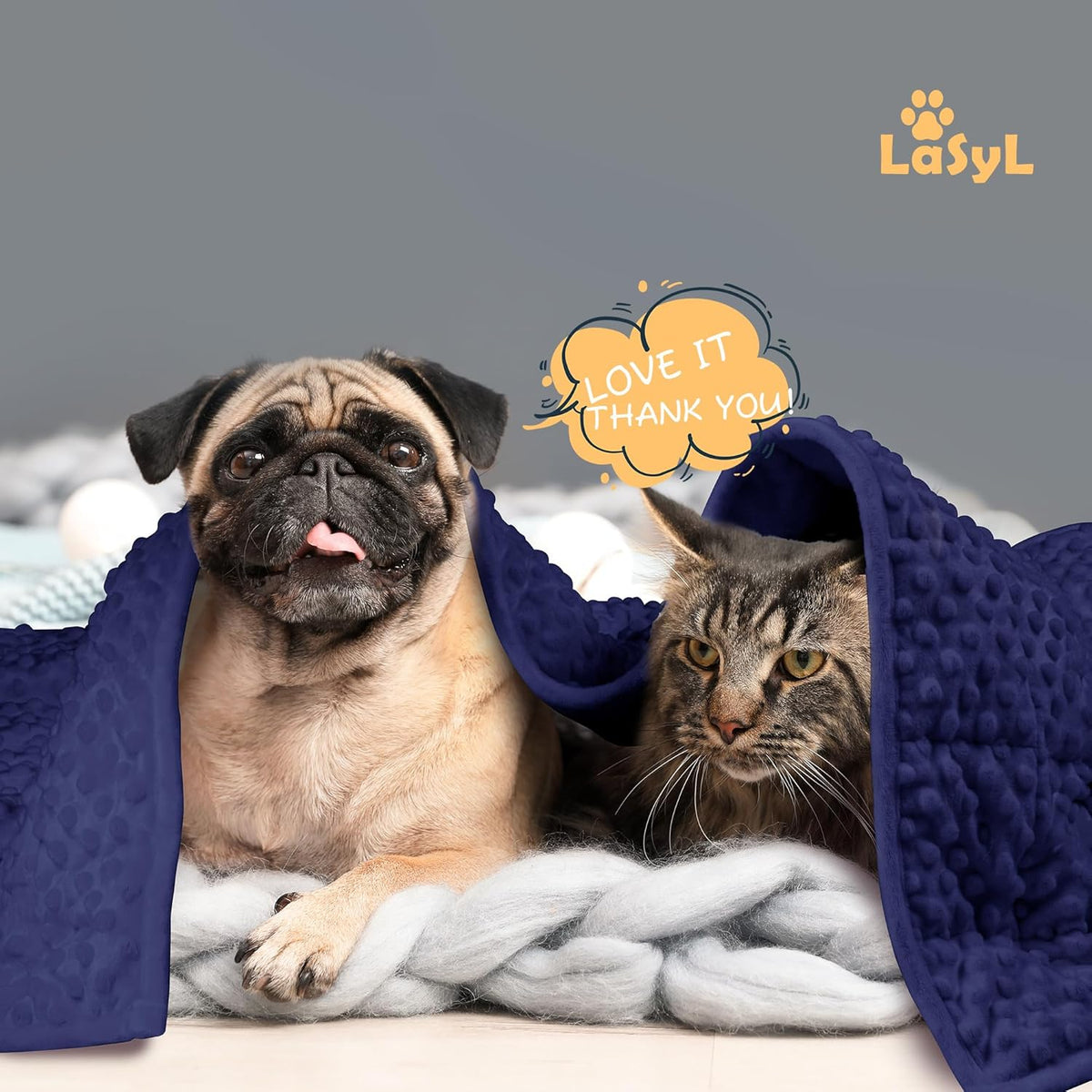 Weighted Blanket for Pets | Thunder Blanket for Dogs Anxiety | Premium Soft Minky | Relaxation & Calming & Anti Anxiety | Used in Car, Bed, Couch | Blue Grey Star, Washable Small (24"x32")