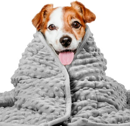 Weighted Blanket for Pets | Thunder Blanket for Dogs Anxiety | Premium Soft Minky | Relaxation & Calming & Anti Anxiety | Used in Car, Bed, Couch | Blue Grey Star, Washable Small (24"x32")