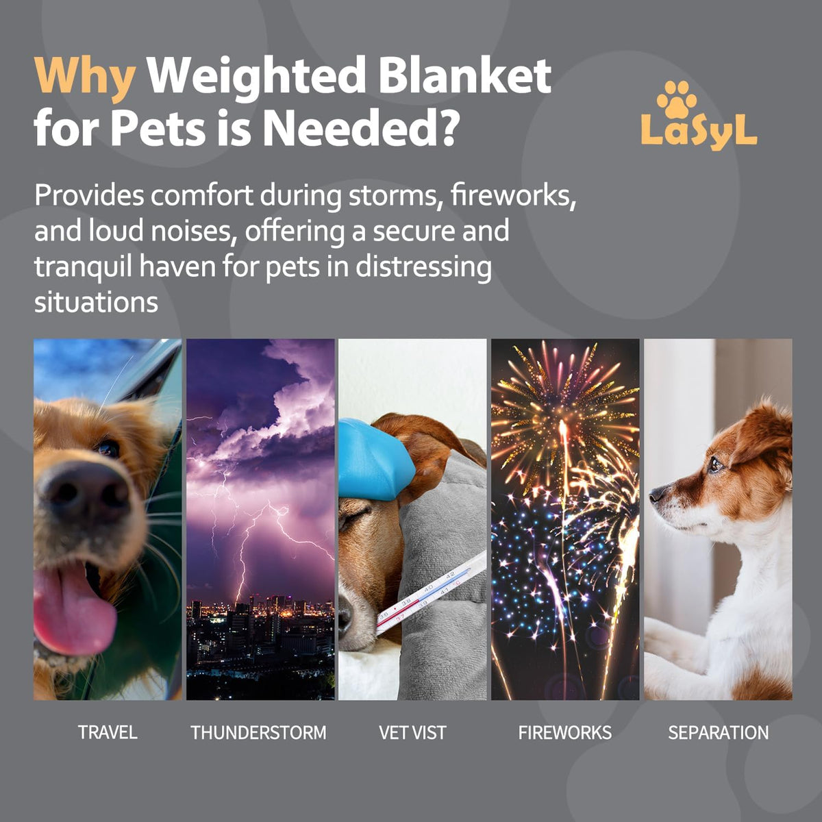 Weighted Blanket for Pets | Thunder Blanket for Dogs Anxiety | Premium Soft Minky | Relaxation & Calming & Anti Anxiety | Used in Car, Bed, Couch | Blue Grey Star, Washable Small (24"x32")