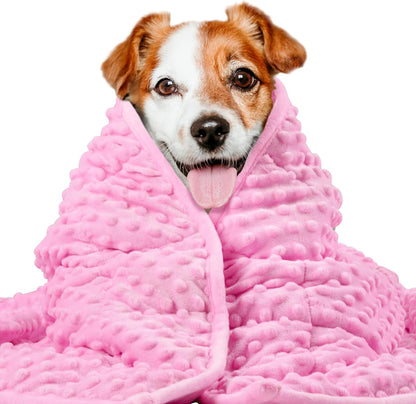 Weighted Blanket for Pets | Thunder Blanket for Dogs Anxiety | Premium Soft Minky | Relaxation & Calming & Anti Anxiety | Used in Car, Bed, Couch | Blue Grey Star, Washable Small (24"x32")