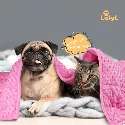 Weighted Blanket for Pets | Thunder Blanket for Dogs Anxiety | Premium Soft Minky | Relaxation & Calming & Anti Anxiety | Used in Car, Bed, Couch | Blue Grey Star, Washable Small (24"x32")