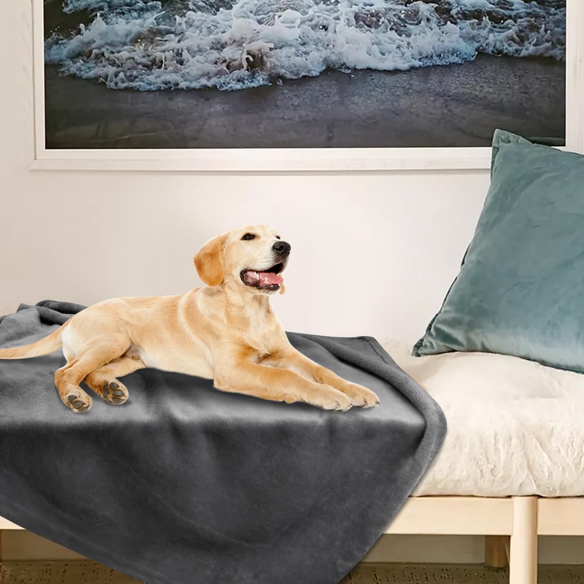 Dog Blanket Washable for Puppy: 4 Packs Dog Blankets 40”x28”