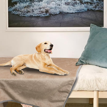 Dog Blanket Washable for Puppy: 4 Packs Dog Blankets 40”x28”
