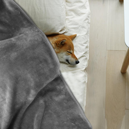 Dog Blanket Washable for Puppy: 4 Packs Dog Blankets 40”x28”