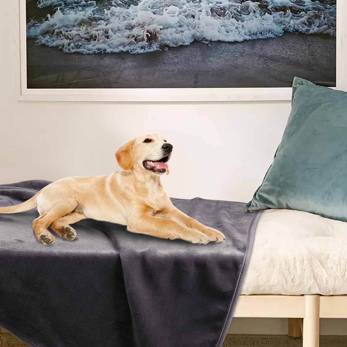 Dog Blanket Washable for Puppy: 4 Packs Dog Blankets 40”x28”