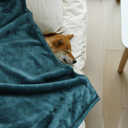 Dog Blanket Washable for Puppy: 4 Packs Dog Blankets 40”x28”