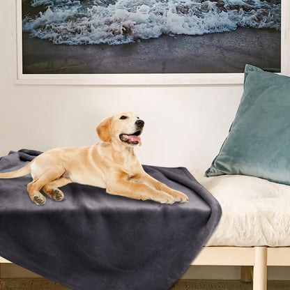 Dog Blanket Washable for Puppy: 4 Packs Dog Blankets 40”x28”