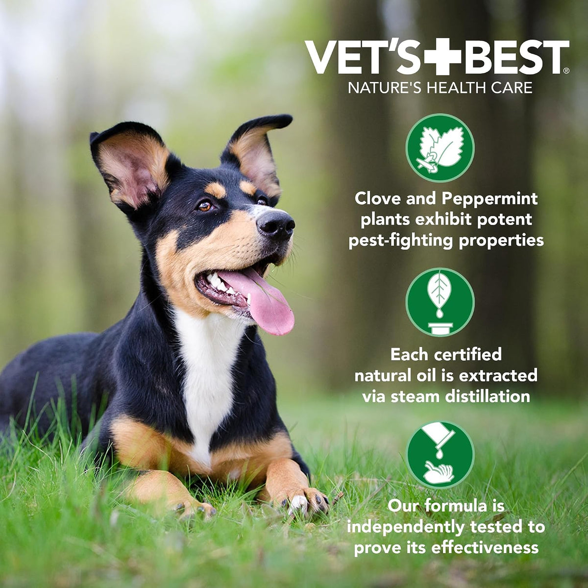 Flea & Tick Drops for Small Dogs, Spot On Treatment, 4mo Supply
