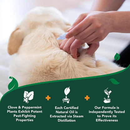 Flea & Tick Drops for Small Dogs, Spot On Treatment, 4mo Supply
