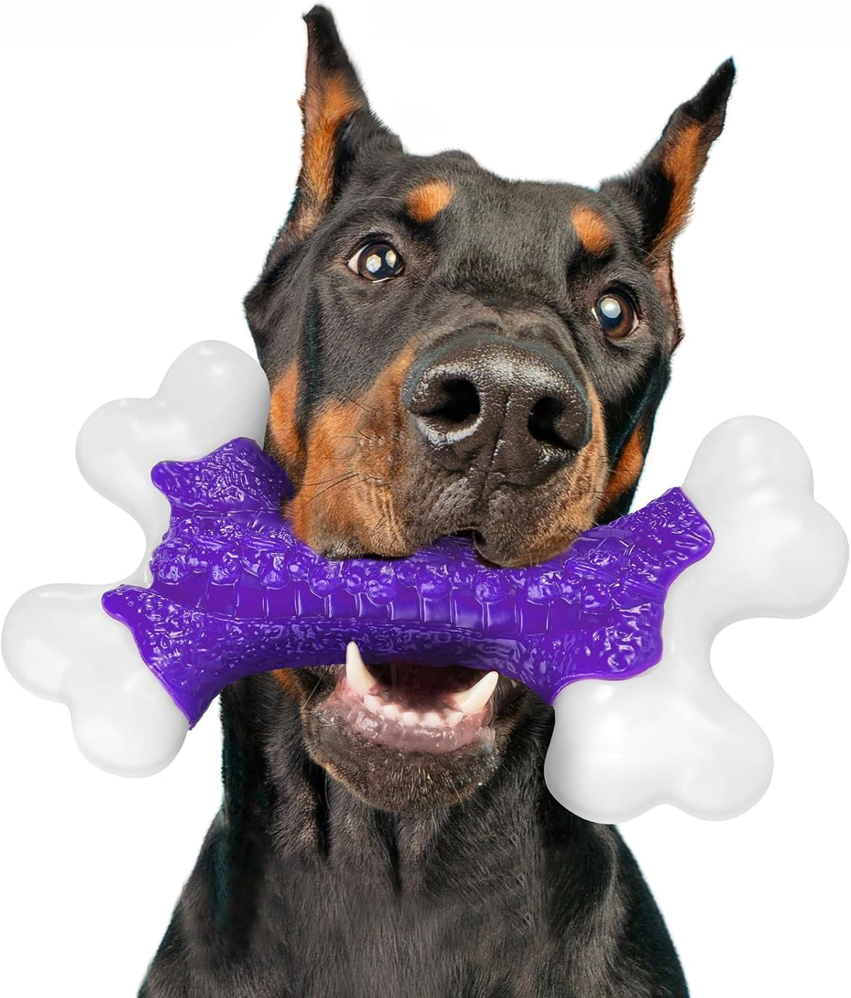 Kseroo Tough Dog Chew Toys for Aggressive Chewers 20-90lbs, Beef Flavored