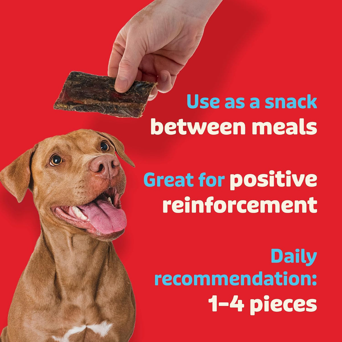 Beef Liver and Lung Dog Treats - Dehydrated Air Dried Soft Bites, High Protein, Two Ingredients, All Natural, 16 oz.