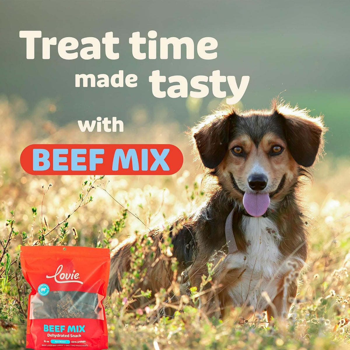 Beef Liver and Lung Dog Treats - Dehydrated Air Dried Soft Bites, High Protein, Two Ingredients, All Natural, 16 oz.