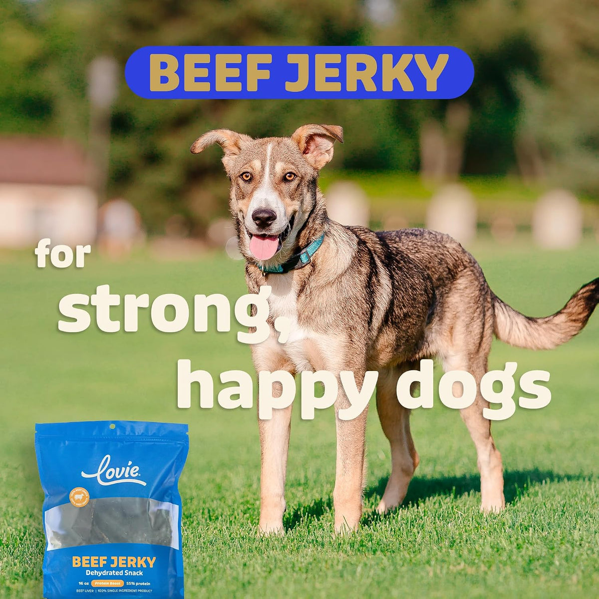Beef Liver and Lung Dog Treats - Dehydrated Air Dried Soft Bites, High Protein, Two Ingredients, All Natural, 16 oz.