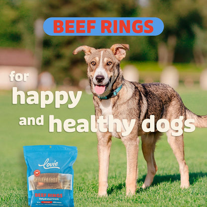 Beef Liver and Lung Dog Treats - Dehydrated Air Dried Soft Bites, High Protein, Two Ingredients, All Natural, 16 oz.