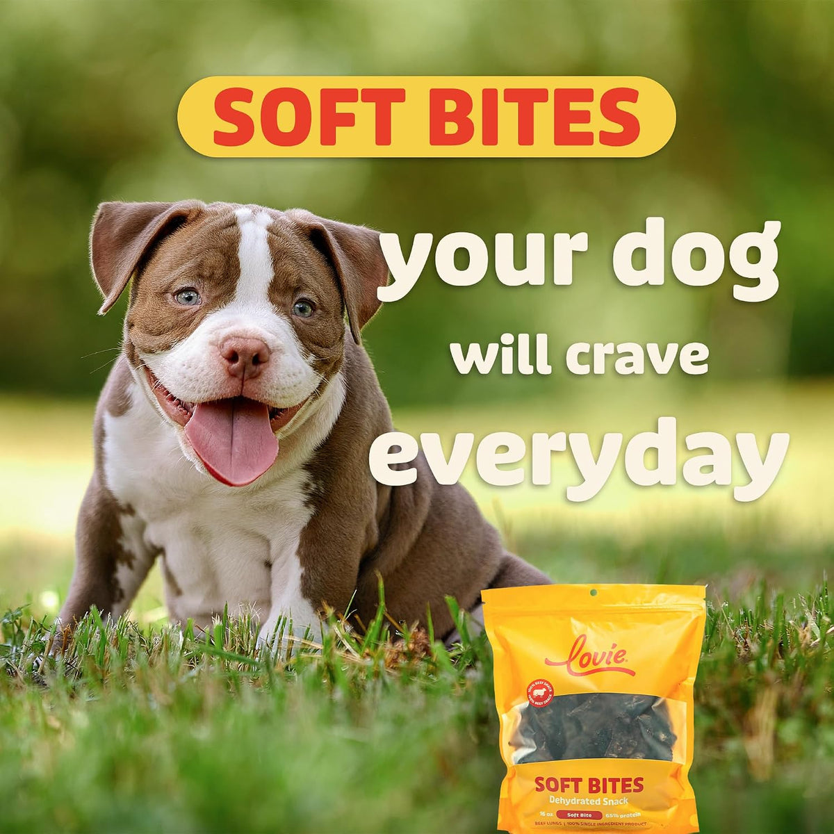 Beef Liver and Lung Dog Treats - Dehydrated Air Dried Soft Bites, High Protein, Two Ingredients, All Natural, 16 oz.