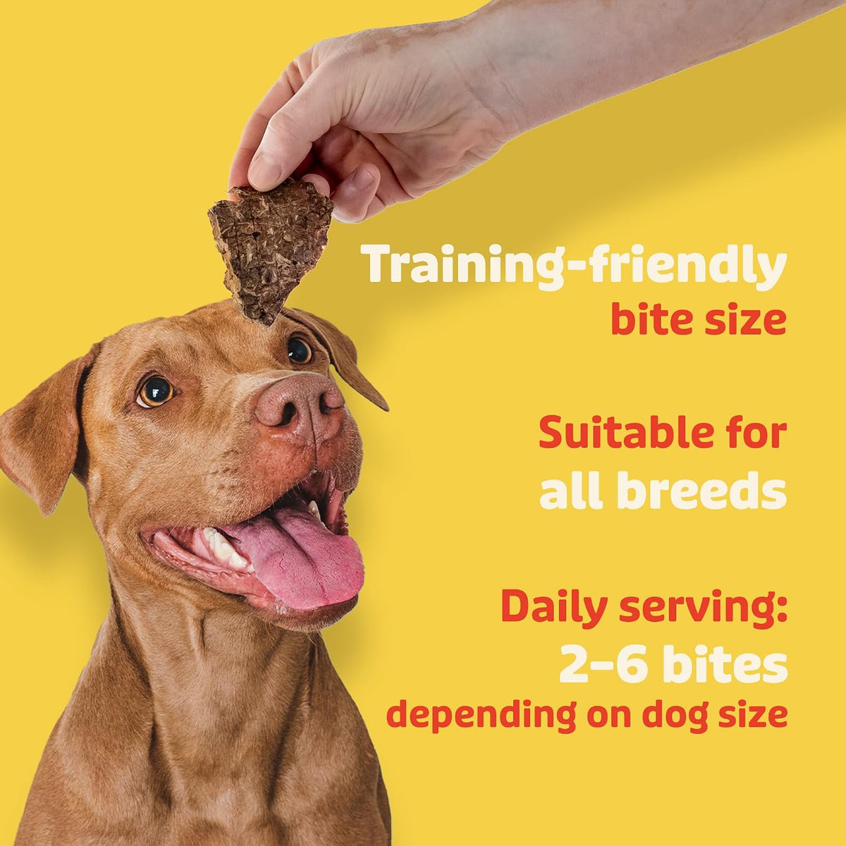 Beef Liver and Lung Dog Treats - Dehydrated Air Dried Soft Bites, High Protein, Two Ingredients, All Natural, 16 oz.