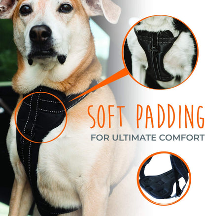 Dog Car Harness - Vehicle Safety Gear - 2 Leash Attachment - Adjustable Straps - Reflective Stitching - Soft Padding - Standard Harness Functionality - No Pull Front Leash Attachment - L