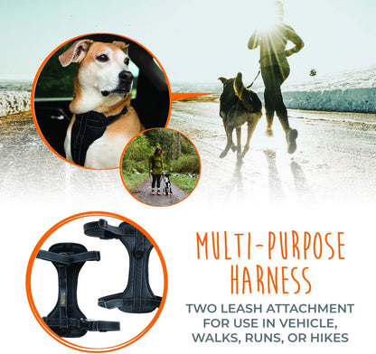 Dog Car Harness - Vehicle Safety Gear - 2 Leash Attachment - Adjustable Straps - Reflective Stitching - Soft Padding - Standard Harness Functionality - No Pull Front Leash Attachment - L