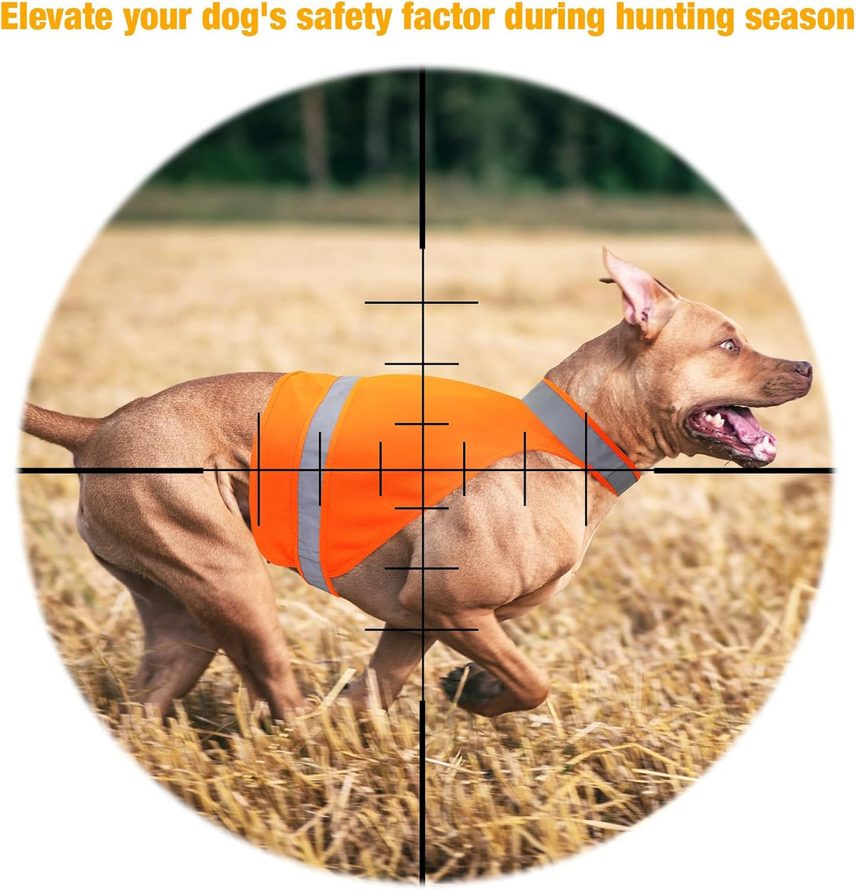 2 Pack Dog Hunting Vest Orange High Visibility Dog Safety Vest Jacket