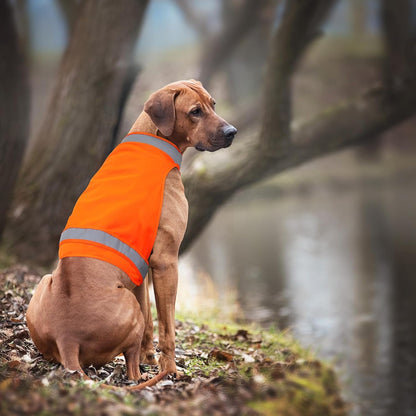 2 Pack Dog Hunting Vest Orange High Visibility Dog Safety Vest Jacket