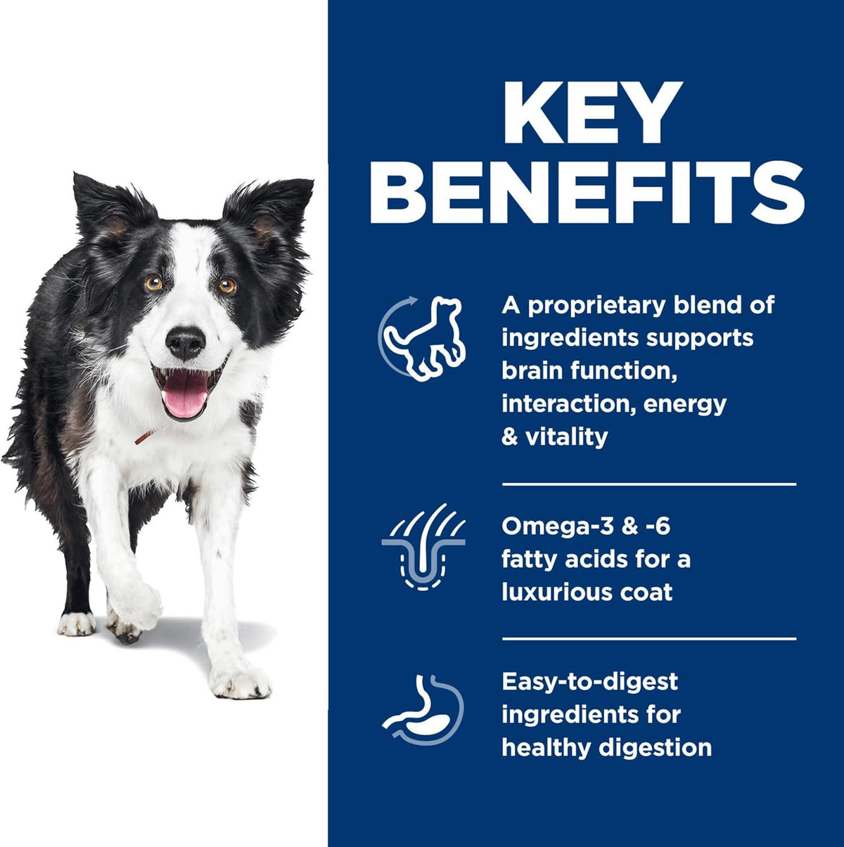Adult 7+ Senior Vitality Dry Dog Food