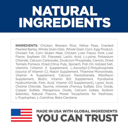 Adult 7+ Senior Vitality Dry Dog Food