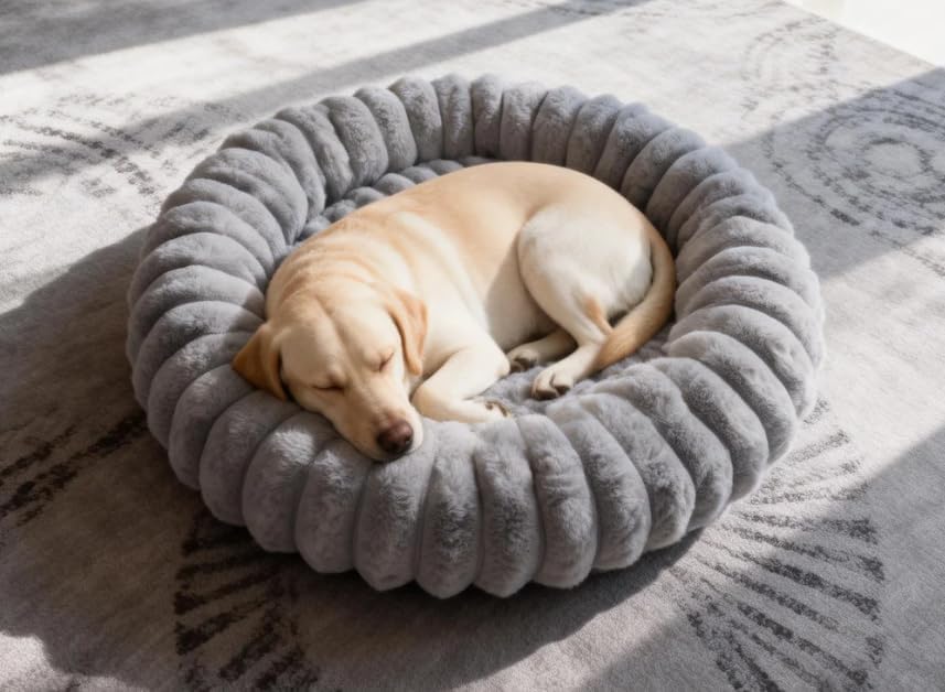 Donut Small Dog Bed Round Calming Kitten & Puppy Bed,20in White