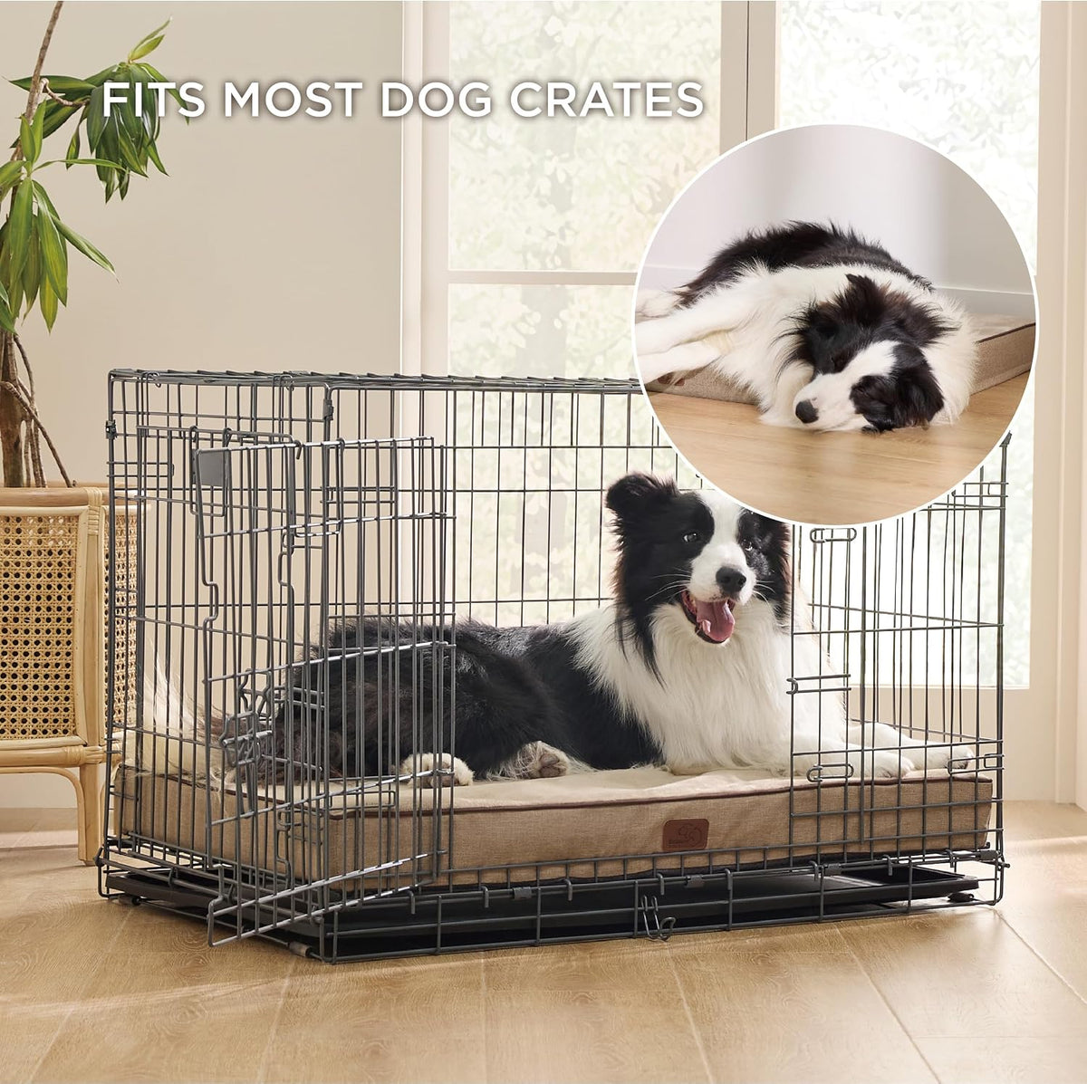 Memory Foam Dog Beds Large Sized Dog, Orthopedic Crate Pads, 35x22