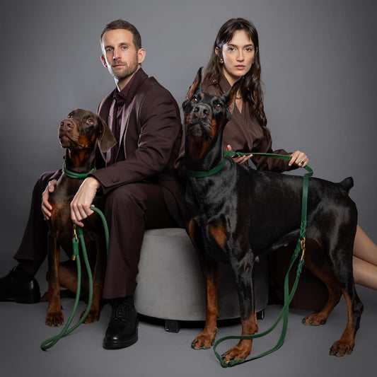 Leather Dog Leash, Premium Oil-Waxed Leather Braided, 8 ft Long Dog Leash with 6 Ways to Use Hands-Free, Quick-tie, Double Pet Lead Etc. Matching Collar Available. (Dark Green)