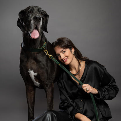 Leather Dog Leash, Premium Oil-Waxed Leather Braided, 8 ft Long Dog Leash with 6 Ways to Use Hands-Free, Quick-tie, Double Pet Lead Etc. Matching Collar Available. (Dark Green)