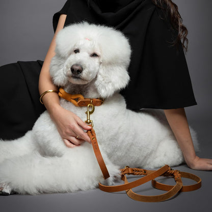 Leather Dog Leash, Premium Oil-Waxed Leather Braided, 8 ft Long Dog Leash with 6 Ways to Use Hands-Free, Quick-tie, Double Pet Lead Etc. Matching Collar Available. (Dark Green)