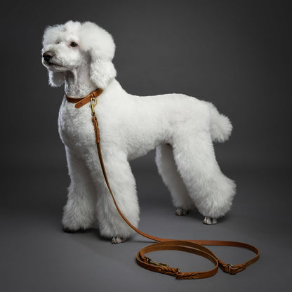 Leather Dog Leash, Premium Oil-Waxed Leather Braided, 8 ft Long Dog Leash with 6 Ways to Use Hands-Free, Quick-tie, Double Pet Lead Etc. Matching Collar Available. (Dark Green)