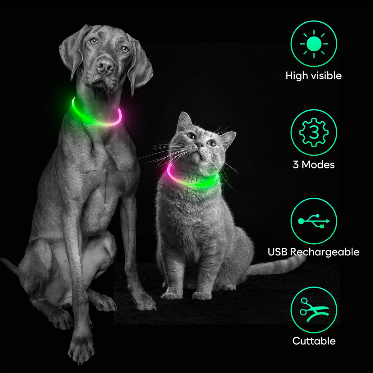 Light up Dog Collar, LED Dog Collar USB Rechargeable, Waterproof Dog Collar Light for Small, Medium, Large Dogs & Cats (Pink+Green)