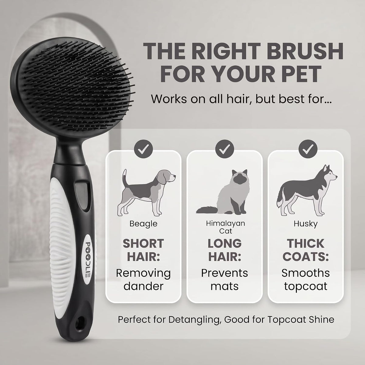 Round Bristle Pet Brush for Dogs and Cats - Soft Dog Brush for Grooming Short or Long Hair - Gentle Tool for Sensitive Skin Removes Dander, Dirt, and Detangles (Blue)