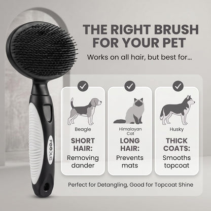 Round Bristle Pet Brush for Dogs and Cats - Soft Dog Brush for Grooming Short or Long Hair - Gentle Tool for Sensitive Skin Removes Dander, Dirt, and Detangles (Blue)