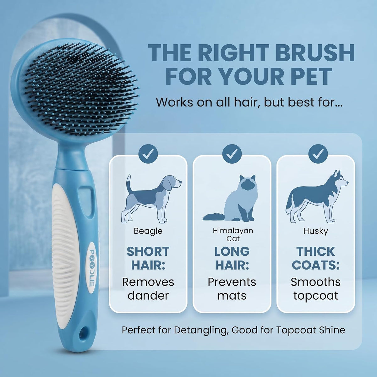 Round Bristle Pet Brush for Dogs and Cats - Soft Dog Brush for Grooming Short or Long Hair - Gentle Tool for Sensitive Skin Removes Dander, Dirt, and Detangles (Blue)