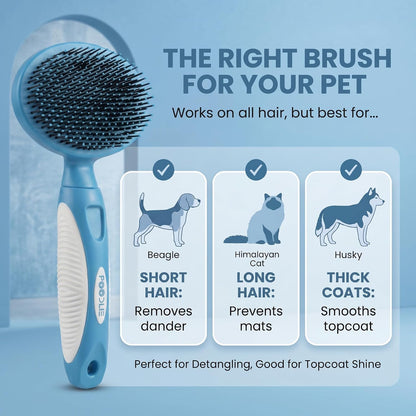 Round Bristle Pet Brush for Dogs and Cats - Soft Dog Brush for Grooming Short or Long Hair - Gentle Tool for Sensitive Skin Removes Dander, Dirt, and Detangles (Blue)