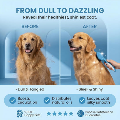 Round Bristle Pet Brush for Dogs and Cats - Soft Dog Brush for Grooming Short or Long Hair - Gentle Tool for Sensitive Skin Removes Dander, Dirt, and Detangles (Blue)