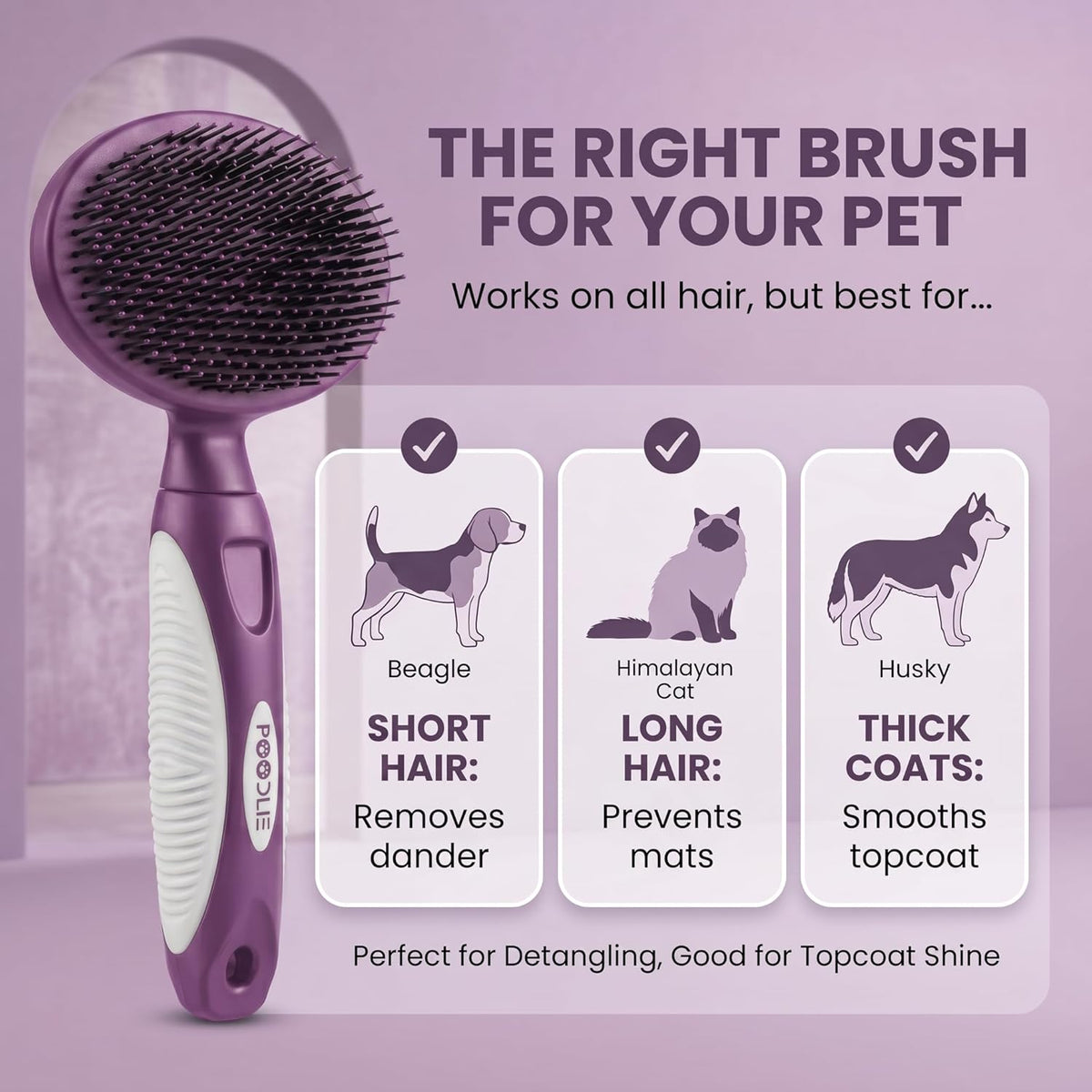Round Bristle Pet Brush for Dogs and Cats - Soft Dog Brush for Grooming Short or Long Hair - Gentle Tool for Sensitive Skin Removes Dander, Dirt, and Detangles (Blue)