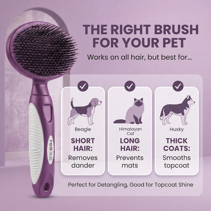Round Bristle Pet Brush for Dogs and Cats - Soft Dog Brush for Grooming Short or Long Hair - Gentle Tool for Sensitive Skin Removes Dander, Dirt, and Detangles (Blue)