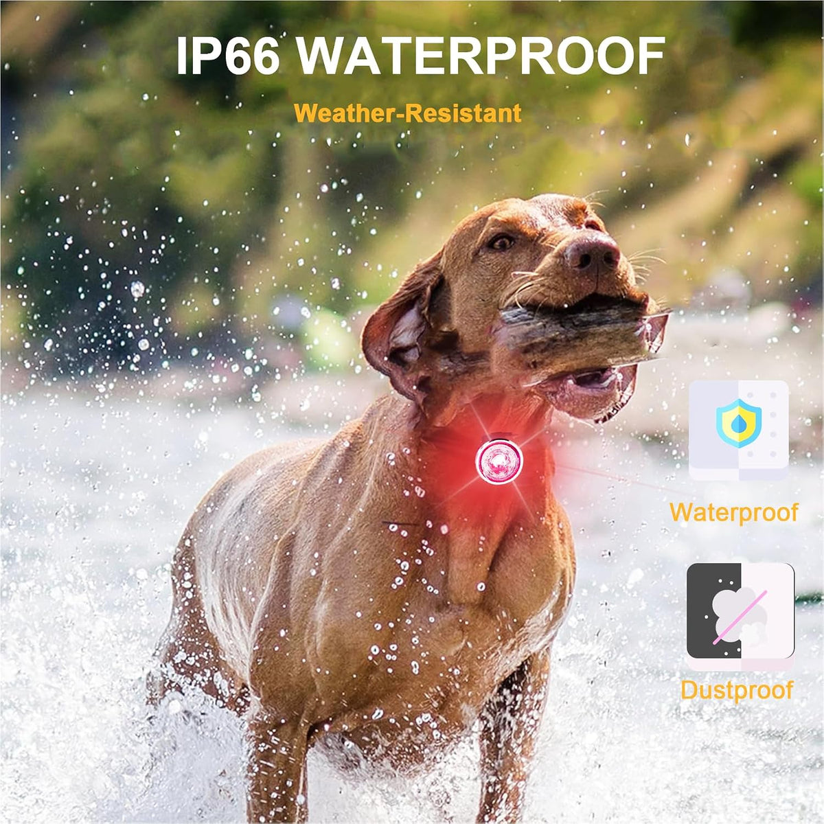 2-Pack Dog Lights for Night Walking, Upgraded 8 Modes Rechargeable Dog Collar Lights for Nighttime Clip On, IPX6 Waterproof and Silicone Band Safety Lights for Dog Collars