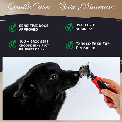 Dog Slicker Brush - Large - Protective Ball Tipped Pins Massages Pet Skin - Professional Groomer Dog Brush for Goldendoodle - Golden Retriever Brush (Large Size)