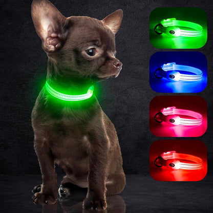 Light up Dog Collars, USB Rechargeable LED Dog Collar, Adjustable LED Cat Collar, Durable Flashing Collar for Cats, Puppy, Small, Medium, Large Dogs (Green, XS)